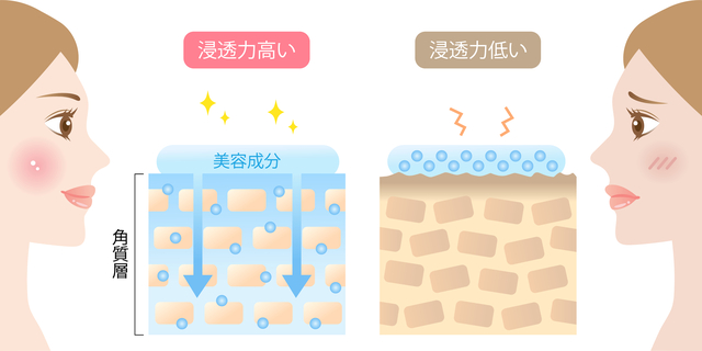美容液が浸透力肌画像