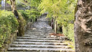 京都一人旅、寂光院、京料理