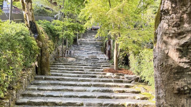 京都一人旅、寂光院、京料理